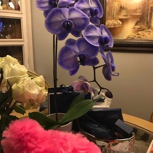 Meet your Posher, Bernice